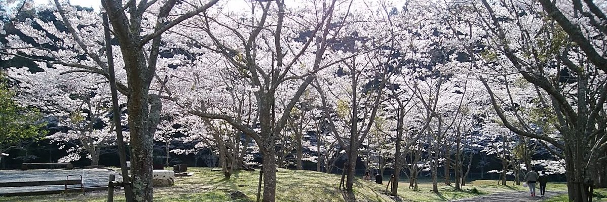 musashi358's profile banner image