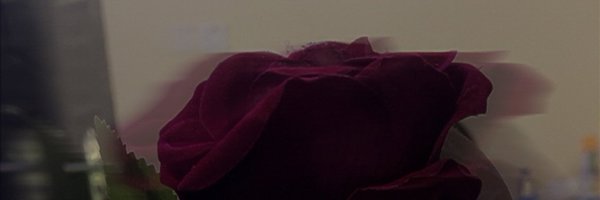 _atofarati Profile Banner