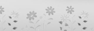 capucinefl's profile banner image