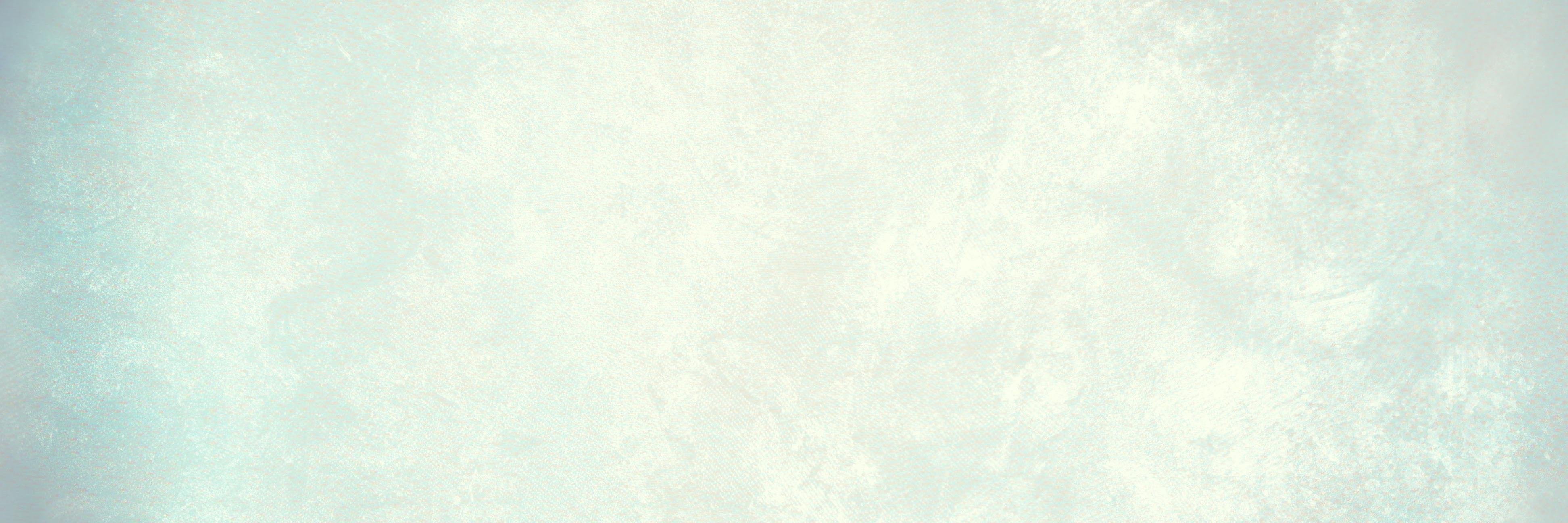 orneerepetto's profile banner image