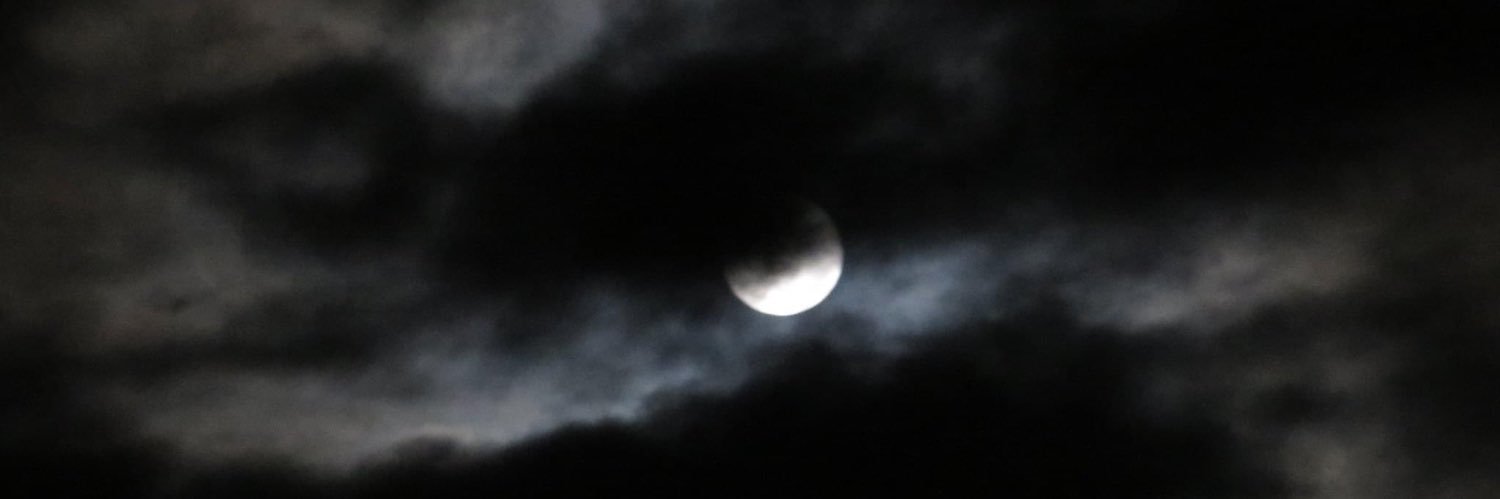 Lexa 🦋💫 EAS TOUR SPOILER FREE banner