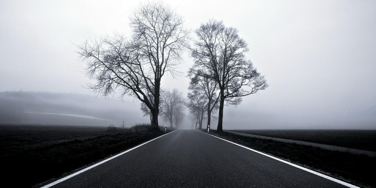belebelfer's profile banner image