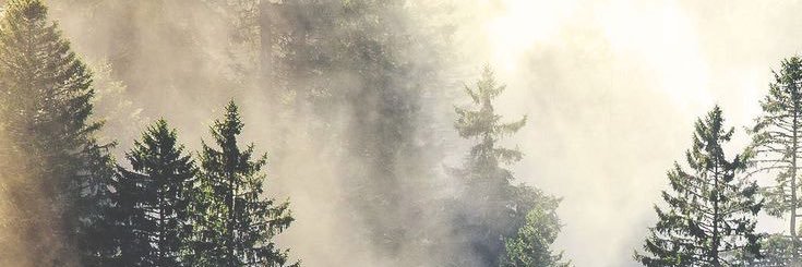 TtTuttle's profile banner image