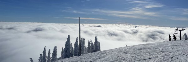 rosejudge5 Profile Banner