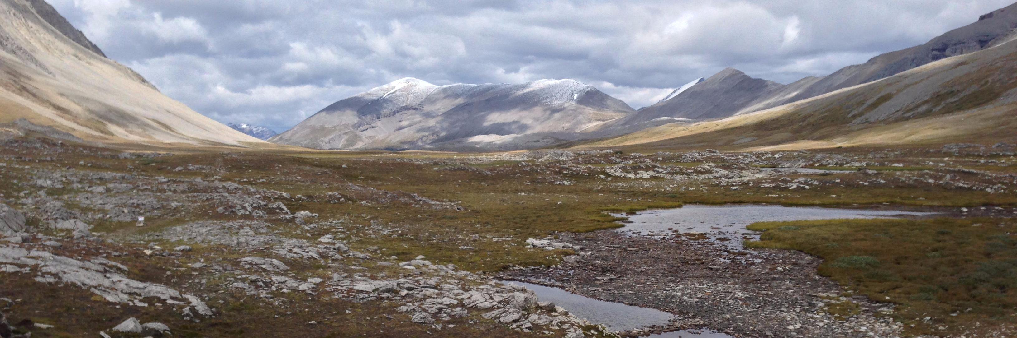 sargentja's profile banner image