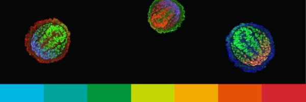 Dev_journal Profile Banner