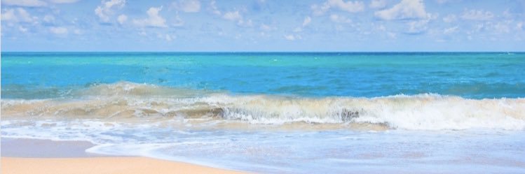rdbrook's profile banner image