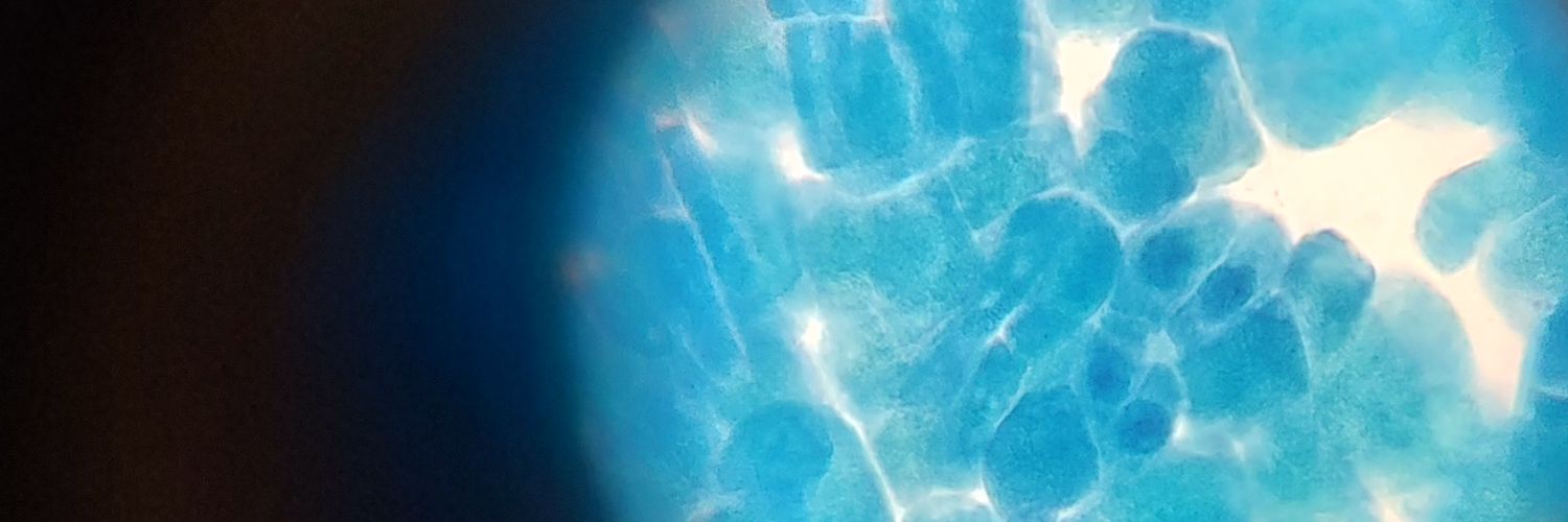 Maiteleuliet's profile banner image
