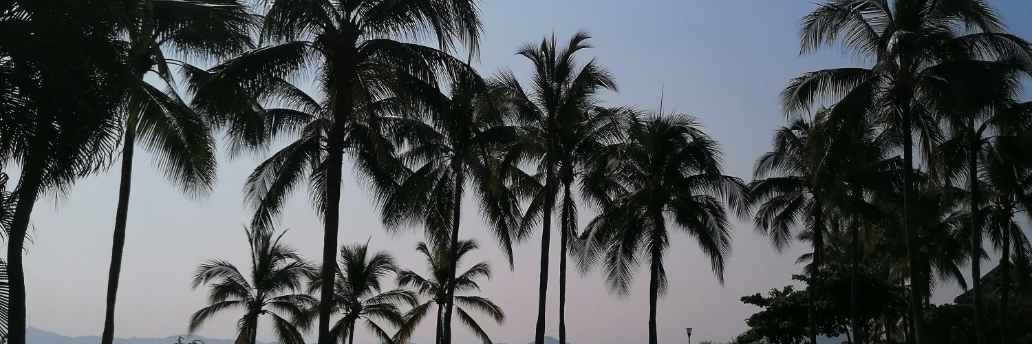 Joshirexx's profile banner image