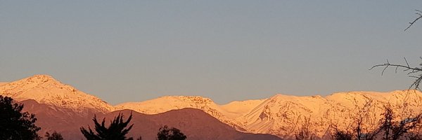 fernamsm Profile Banner