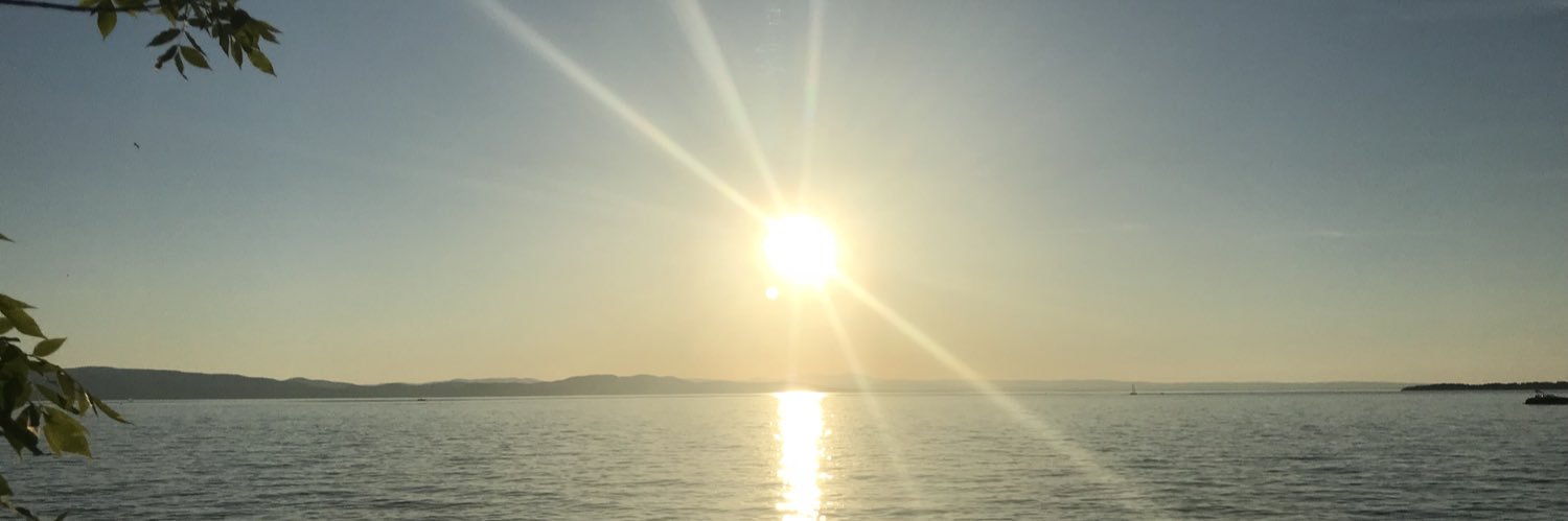 adamstonevt's profile banner image