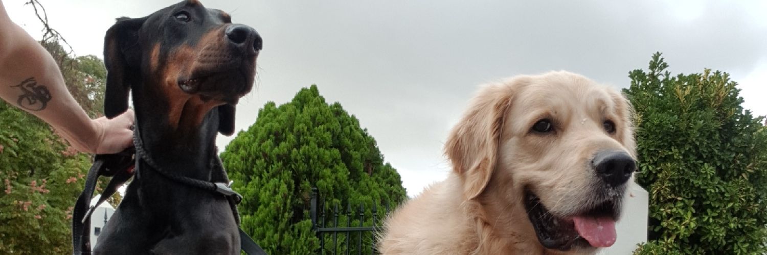 HappyPetHelpers's profile banner image