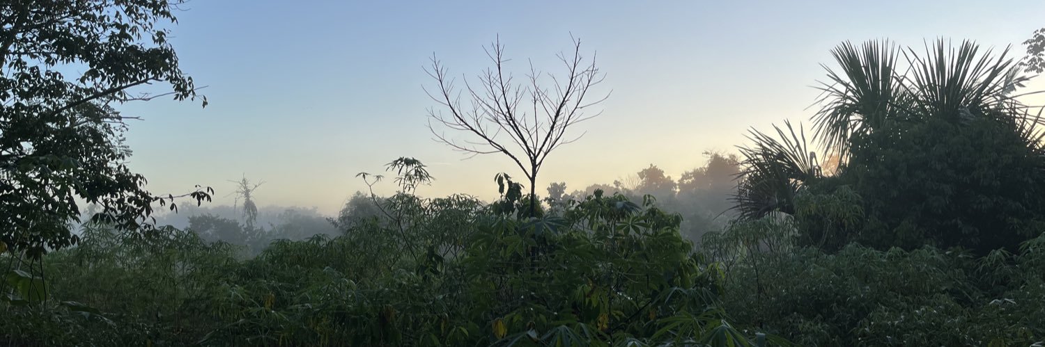 tecitodemoras_'s profile banner image