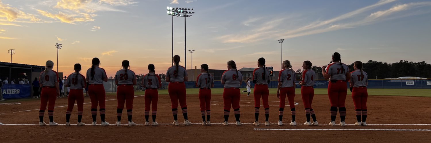 njhssoftball banner