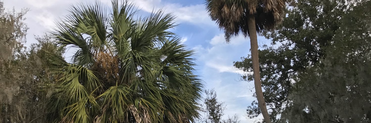 kjordanwrites's profile banner image