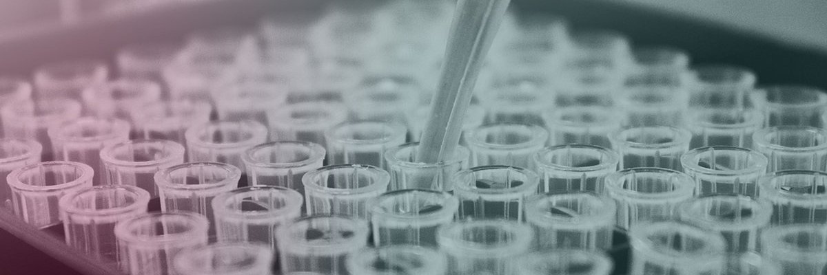 IMI2_TransBioLine banner