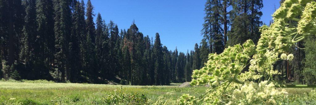 tekoamc's profile banner image