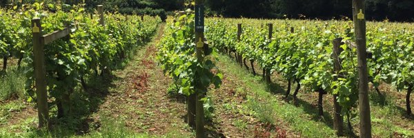 PhilipReedman Profile Banner