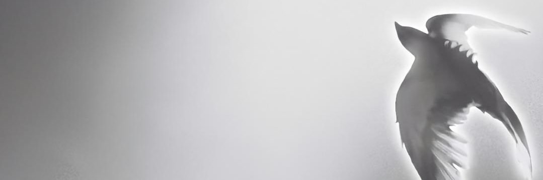 Rais banner