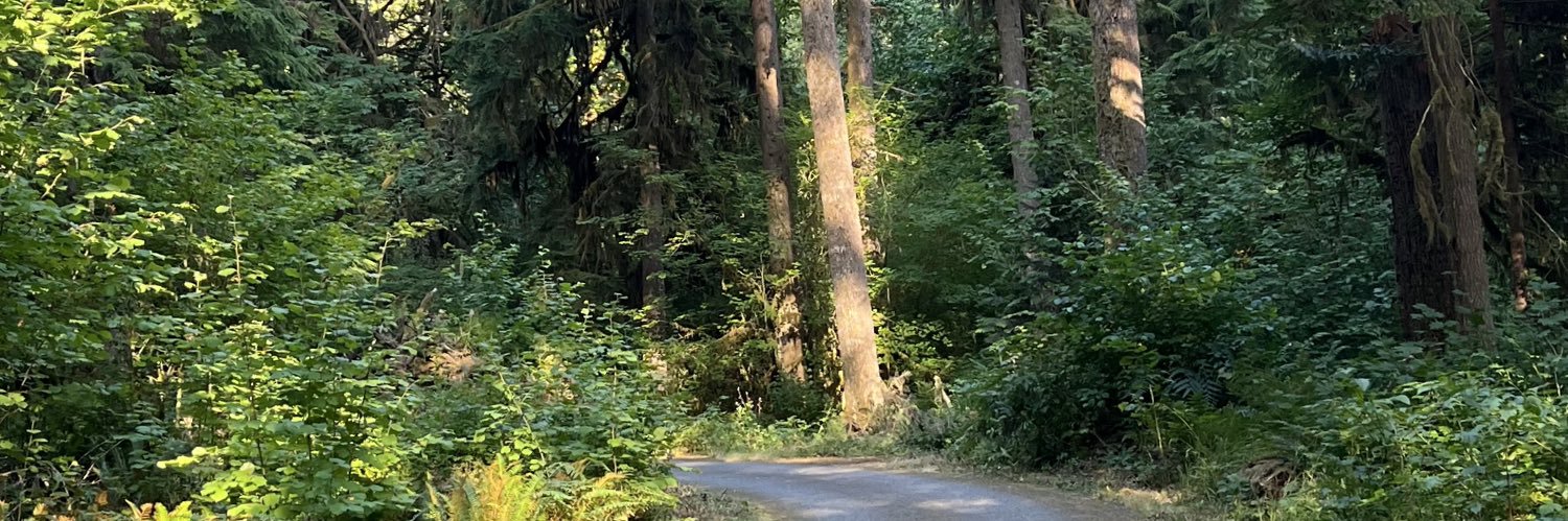 XLTreeHugger's profile banner image