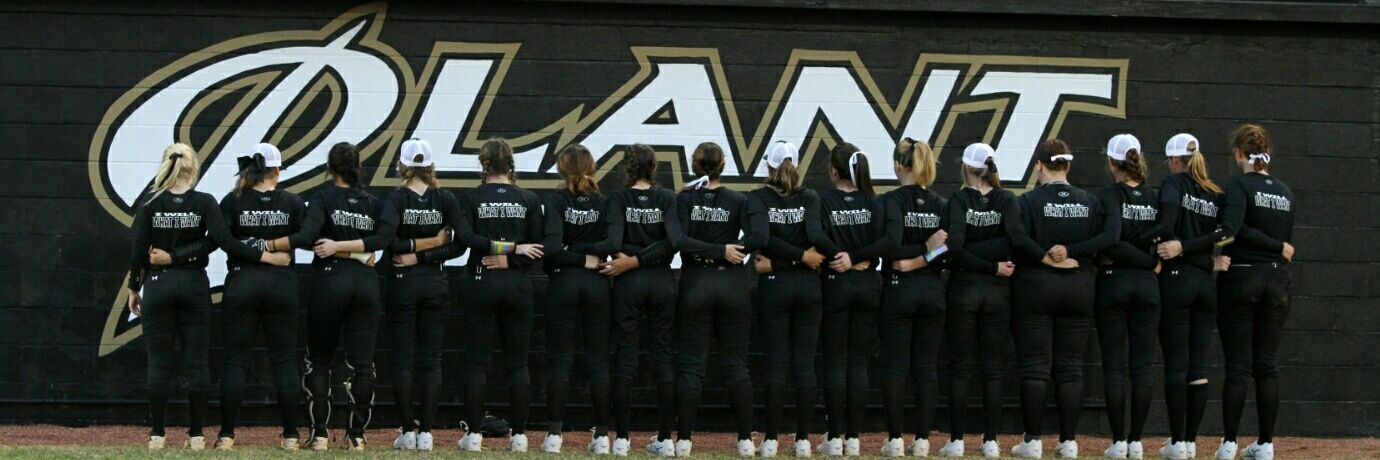 PlantSoftball's profile banner image