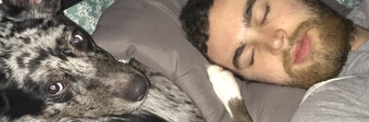 ceara_ohler's profile banner image