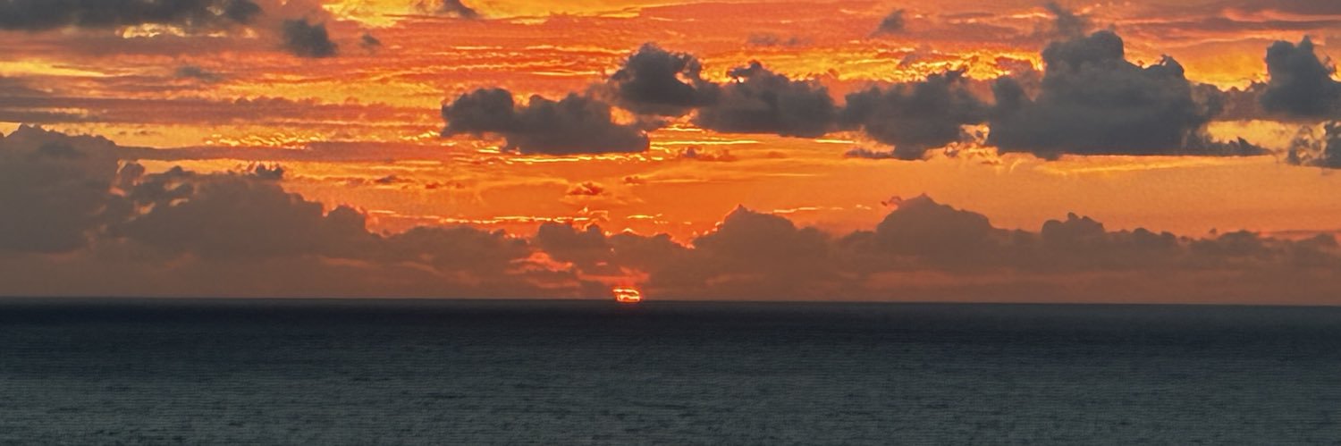 OzoneDealer's profile banner image