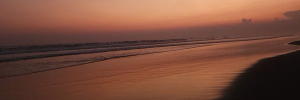 TuitsMolina Profile Banner