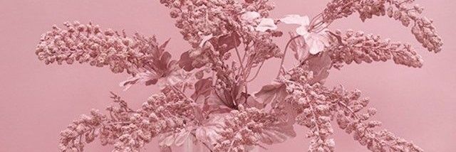 wandaazha4's profile banner image