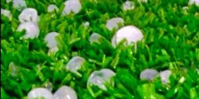 a_wasal's profile banner image