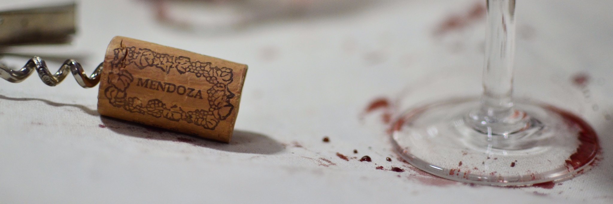 mdzwinetours's profile banner image