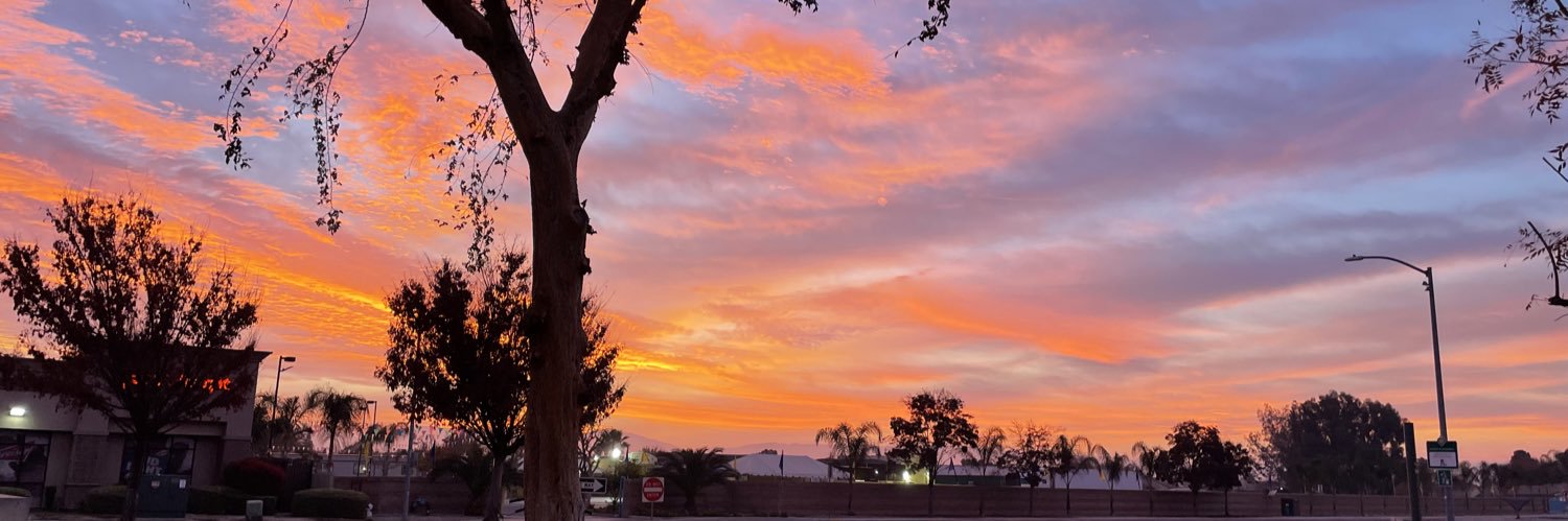sylvianicoleee's profile banner image