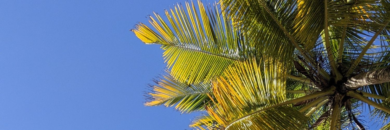 bkacodes's profile banner image