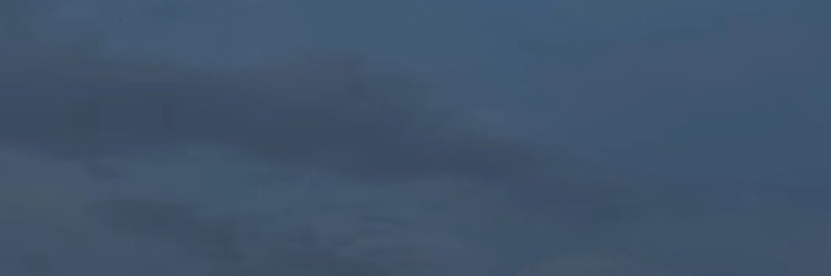 shecherchoret's profile banner image