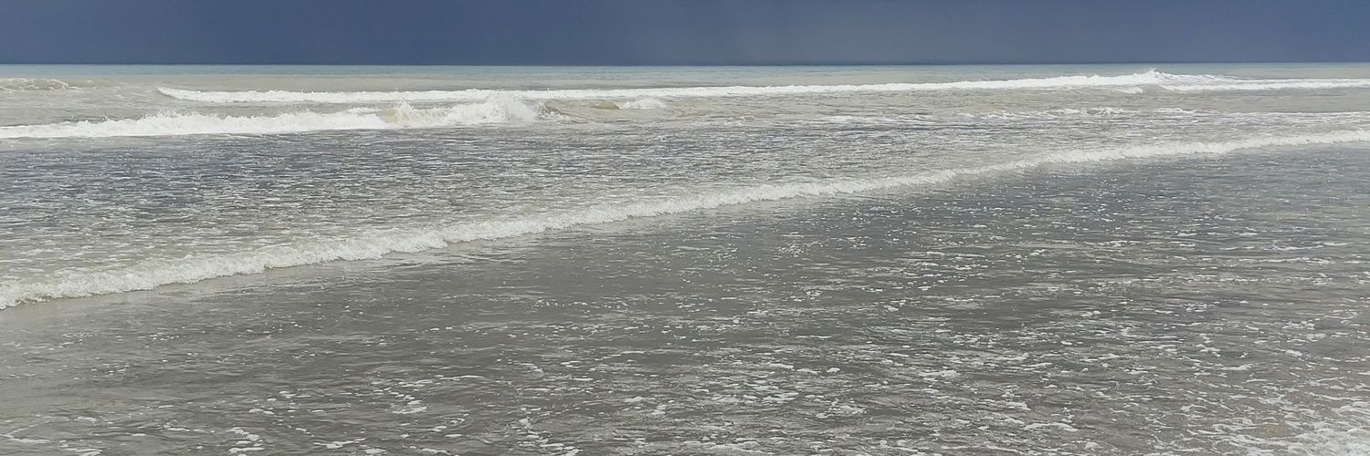 Ceci Ríos banner