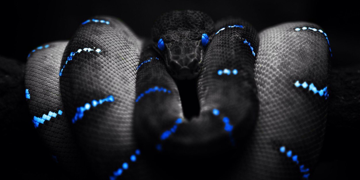 Chupoenx_Js's profile banner image