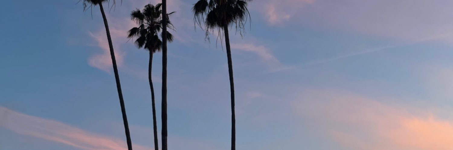 sameileenv's profile banner image