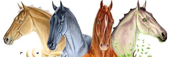Garsechoby's profile banner image
