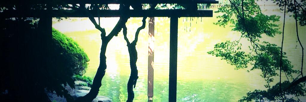 33_maco's profile banner image