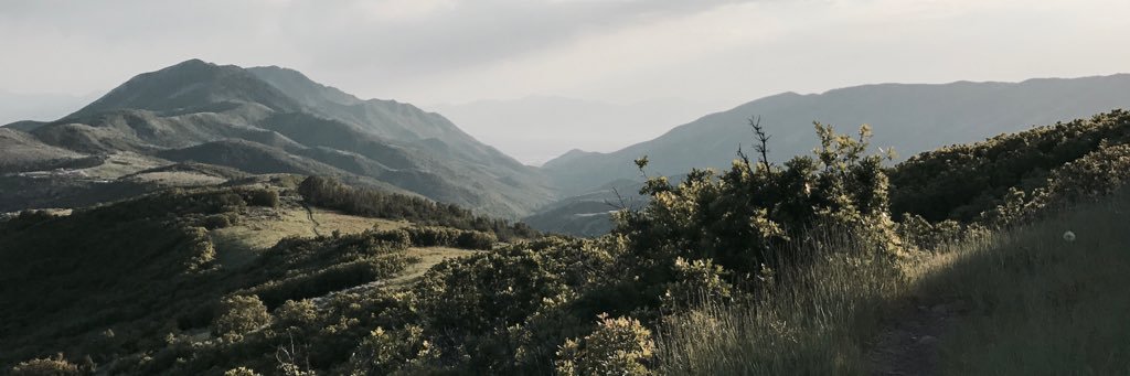 abigailrampton's profile banner image