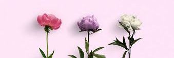 yesyrc's profile banner image