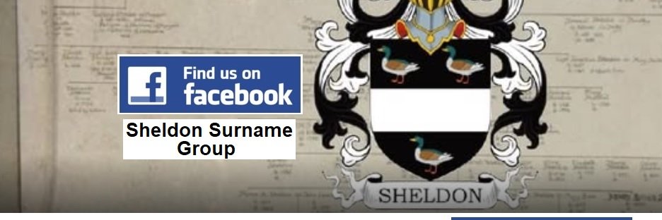 Neale Sheldon banner