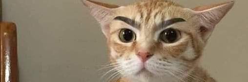 dumbomando's profile banner image