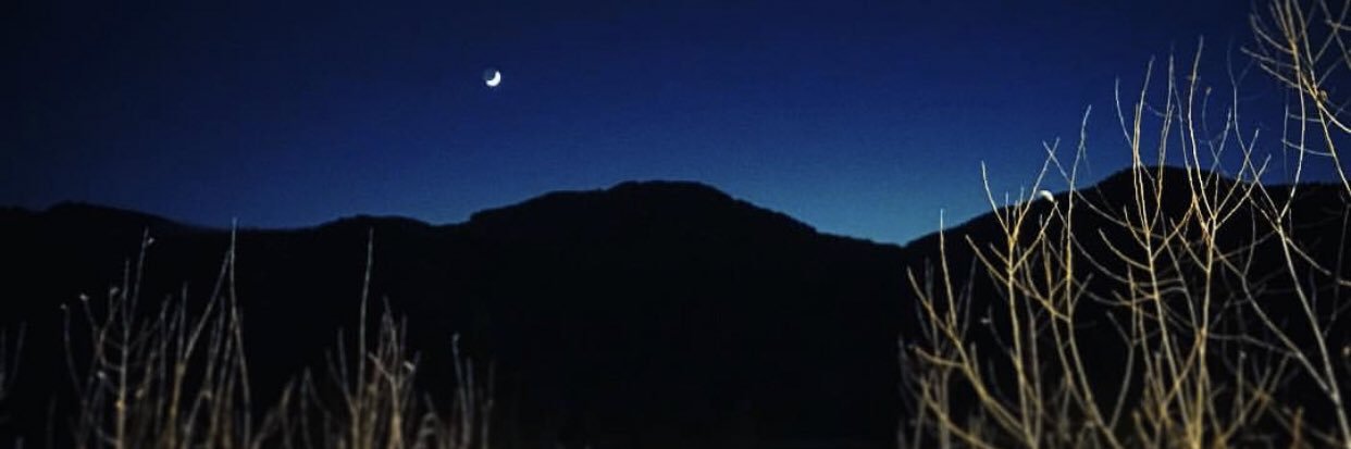 LovesRawMeat's profile banner image