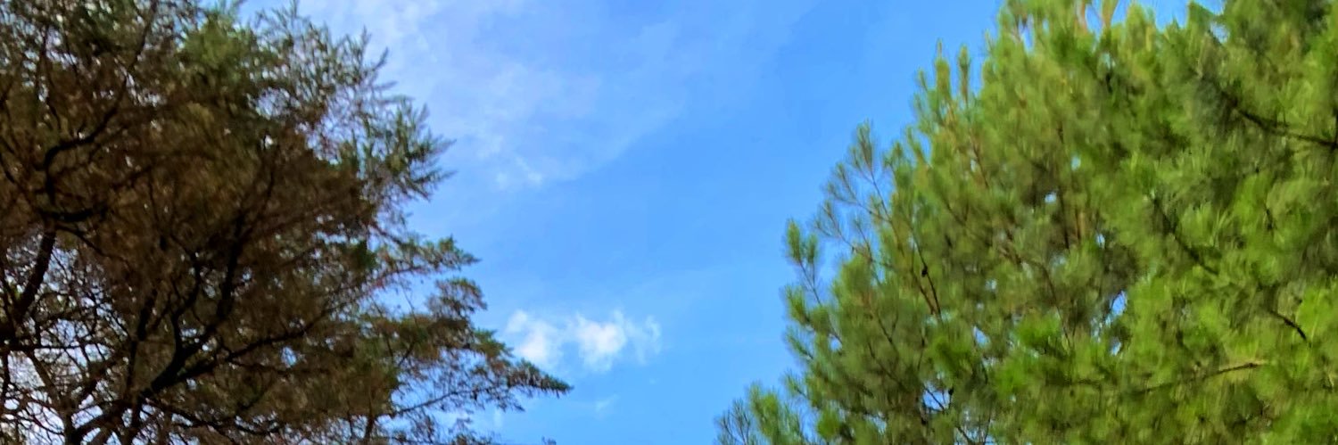 Duarte_c9's profile banner image