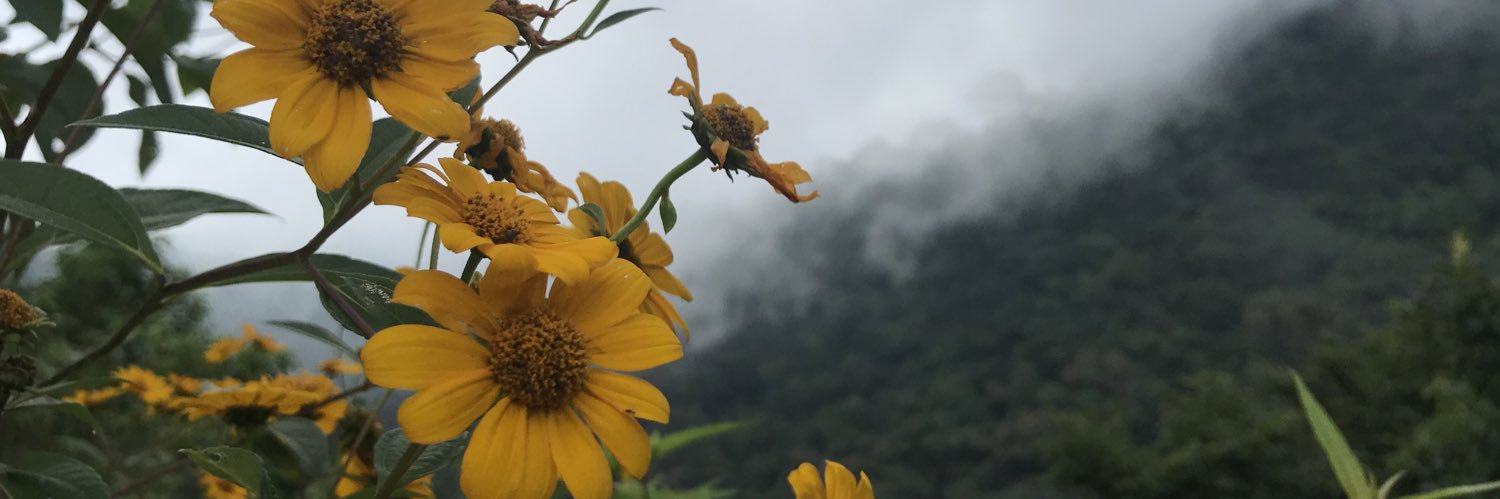 macias_2302's profile banner image