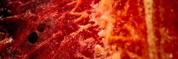 WOWCRIMSON Profile Banner