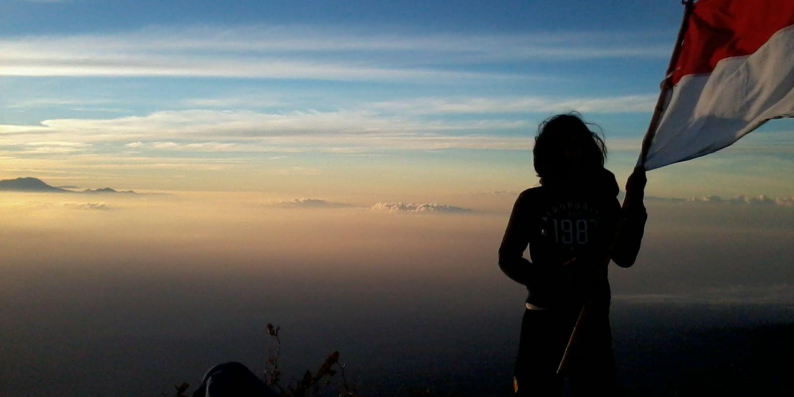 pipit06's profile banner image