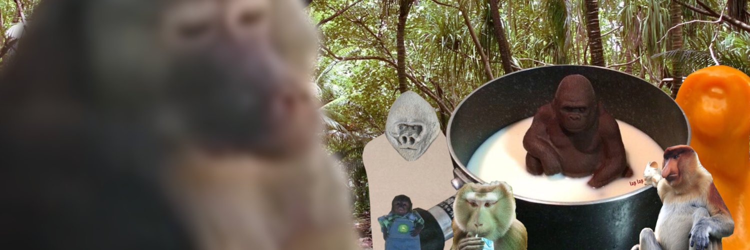 Baboon Jome banner