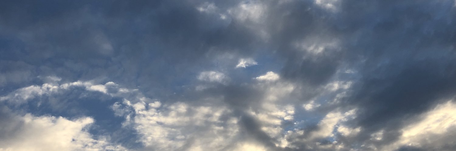 lacaichepriv's profile banner image